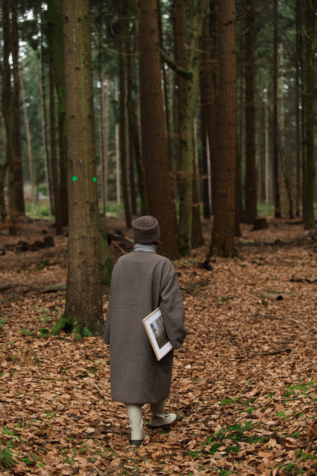 Photo print 'into the woods'