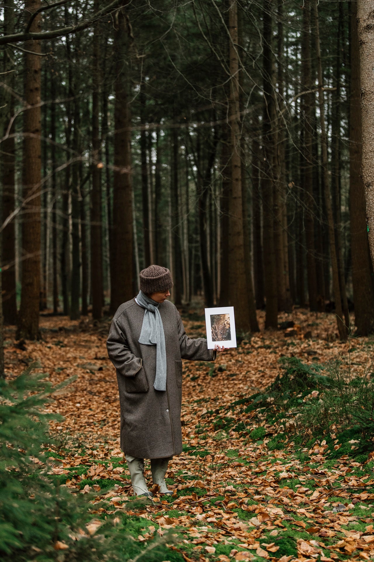 Photo print 'sunflowers'