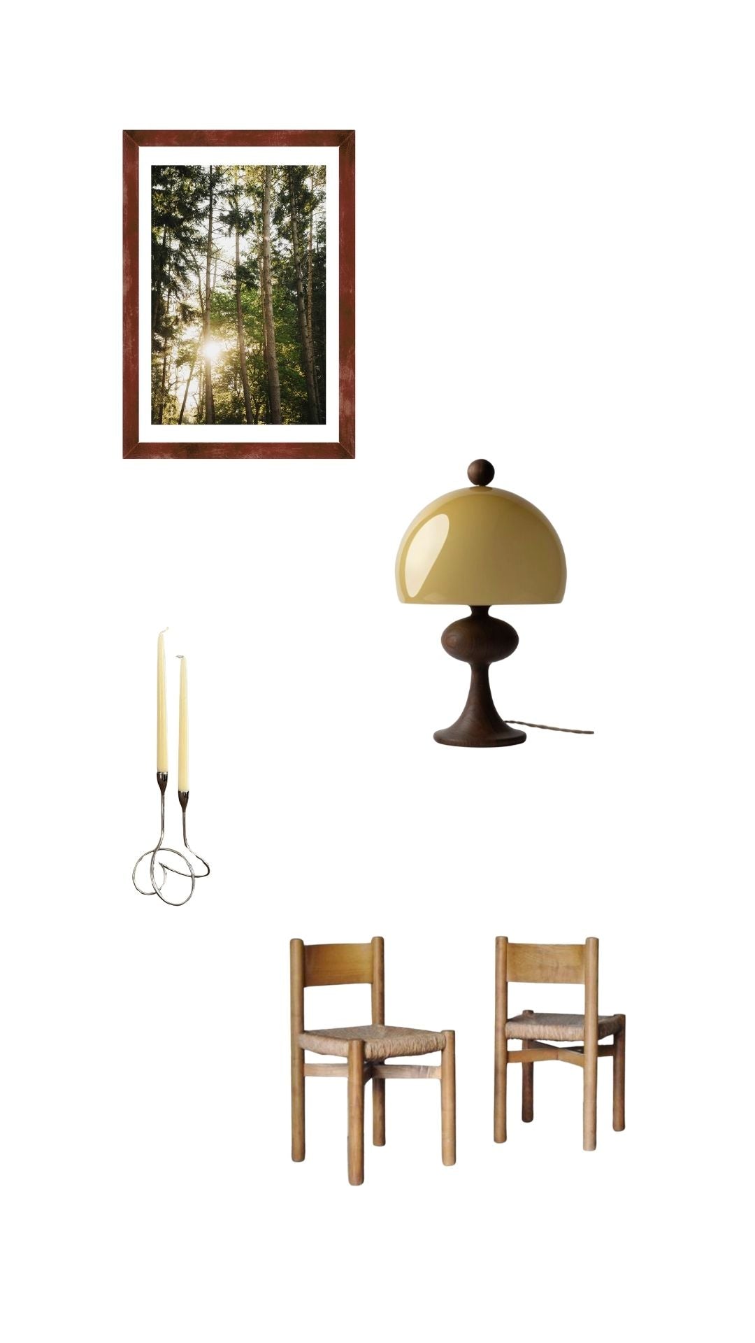 Photo print 'forest life'