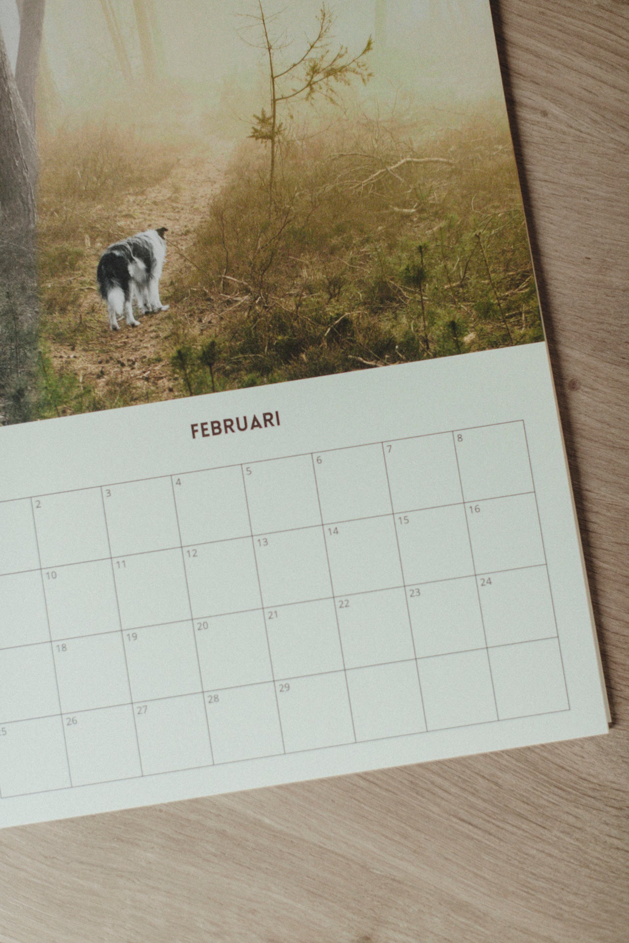 Birthday calendar 'life in the forest'