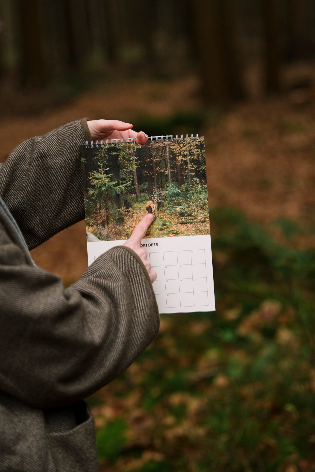 Birthday calendar 'life in the forest'