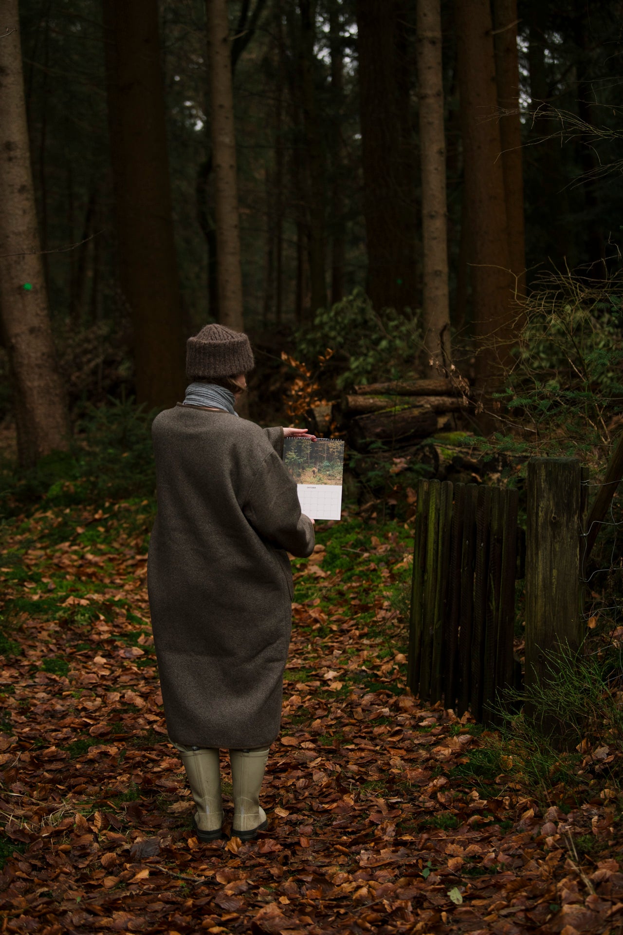 Birthday calendar 'life in the forest'