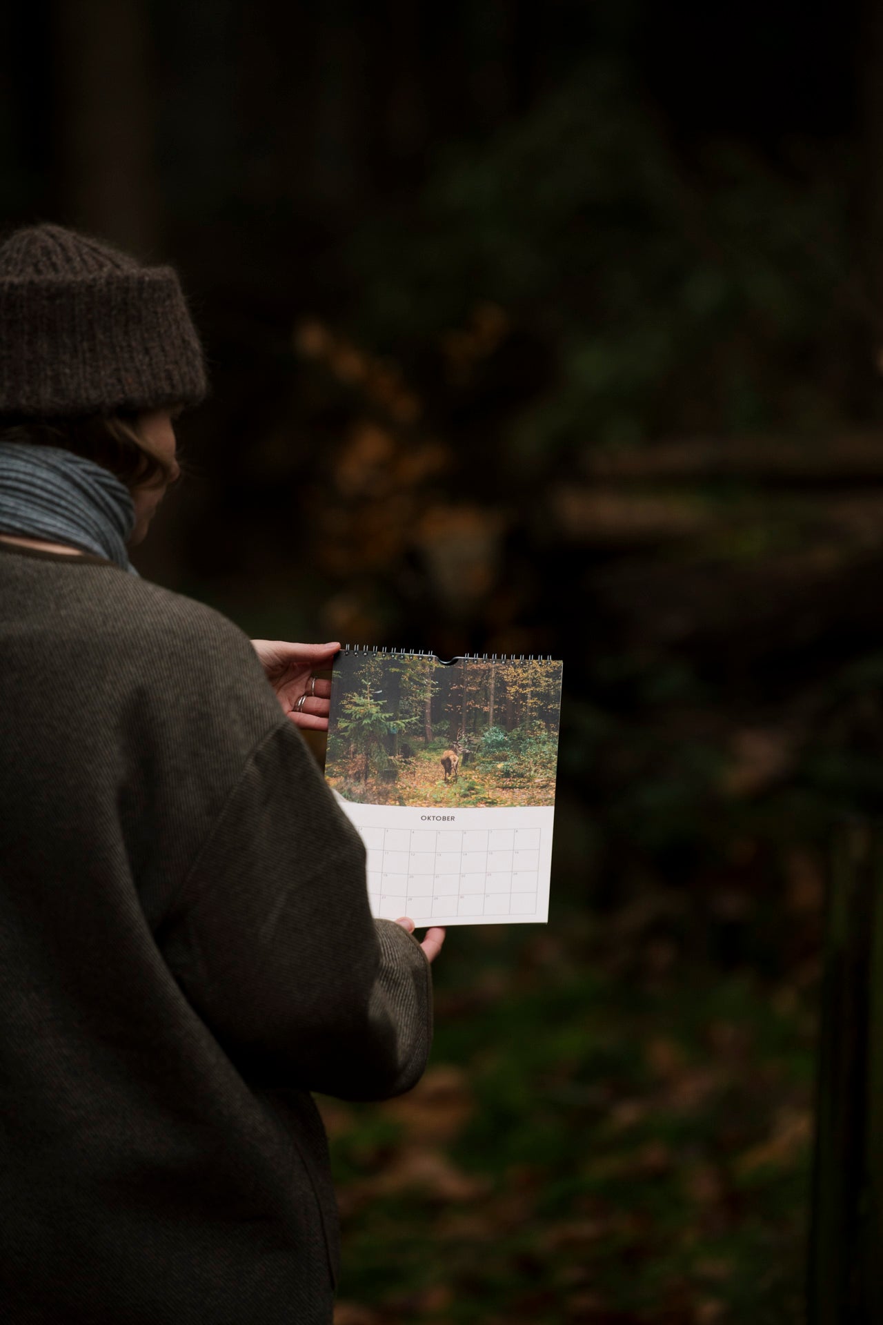 Birthday calendar 'life in the forest'