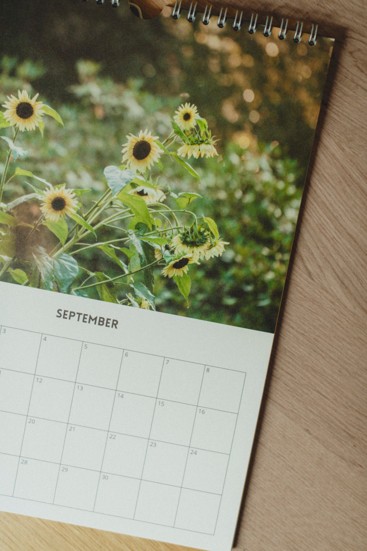 Birthday calendar 'life in the forest'