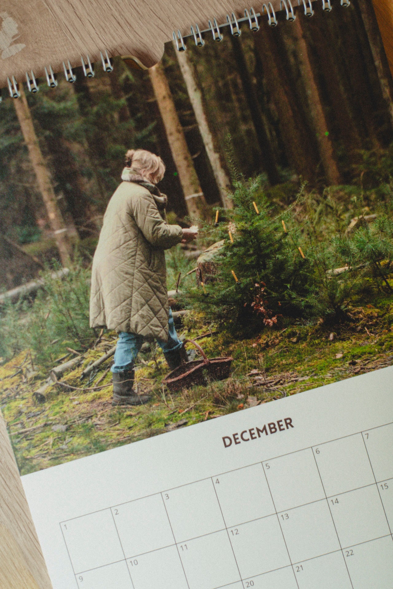 Birthday calendar 'life in the forest'
