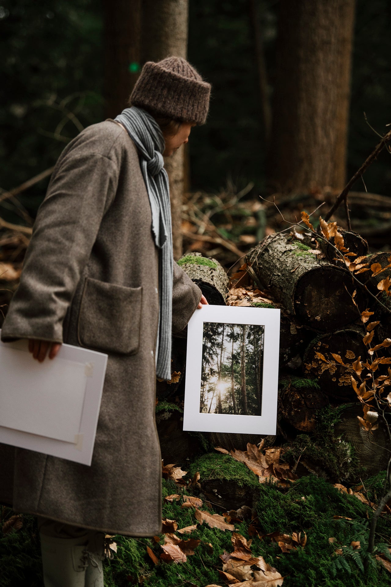 Photo print 'forest life'