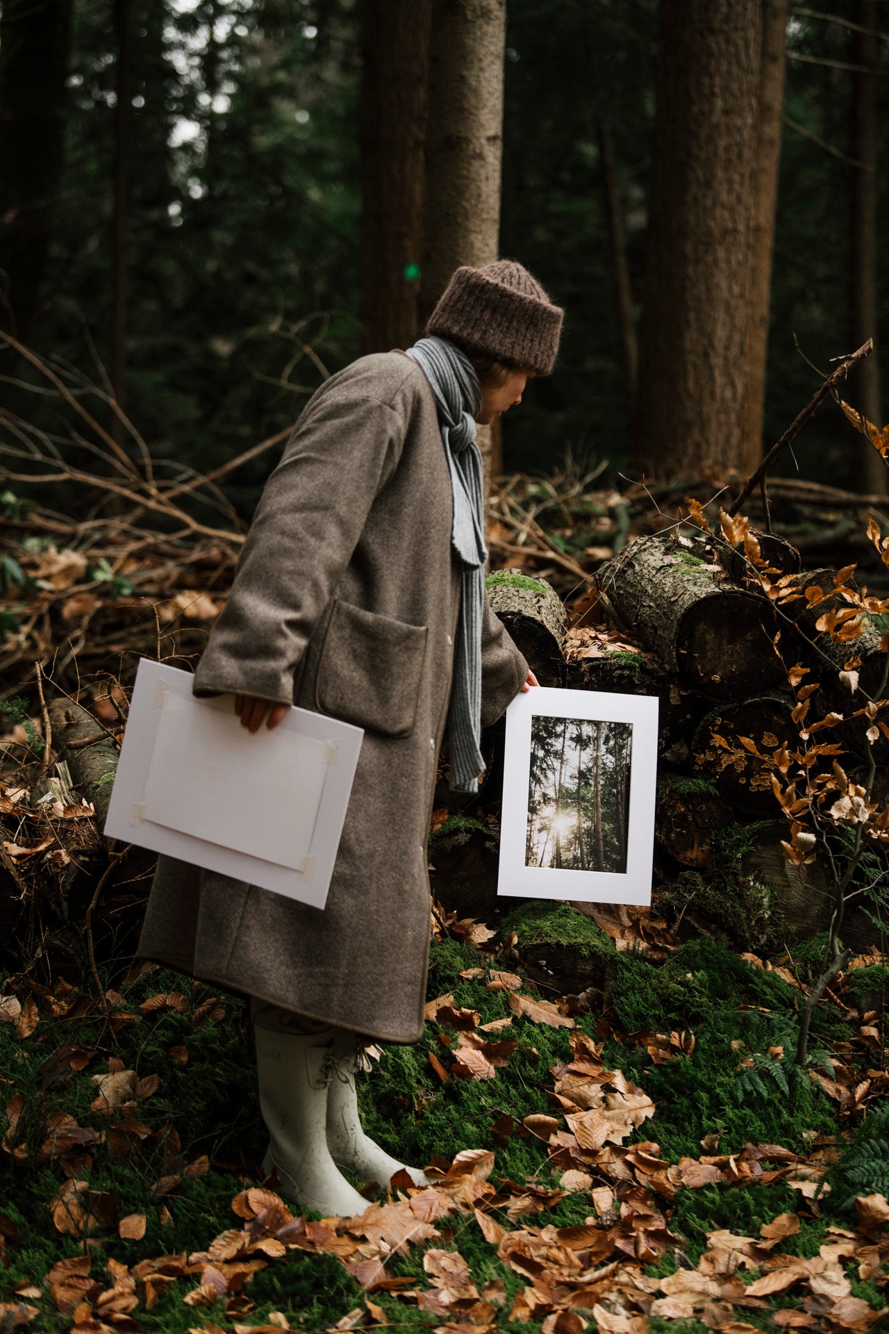 Photo print 'forest life'