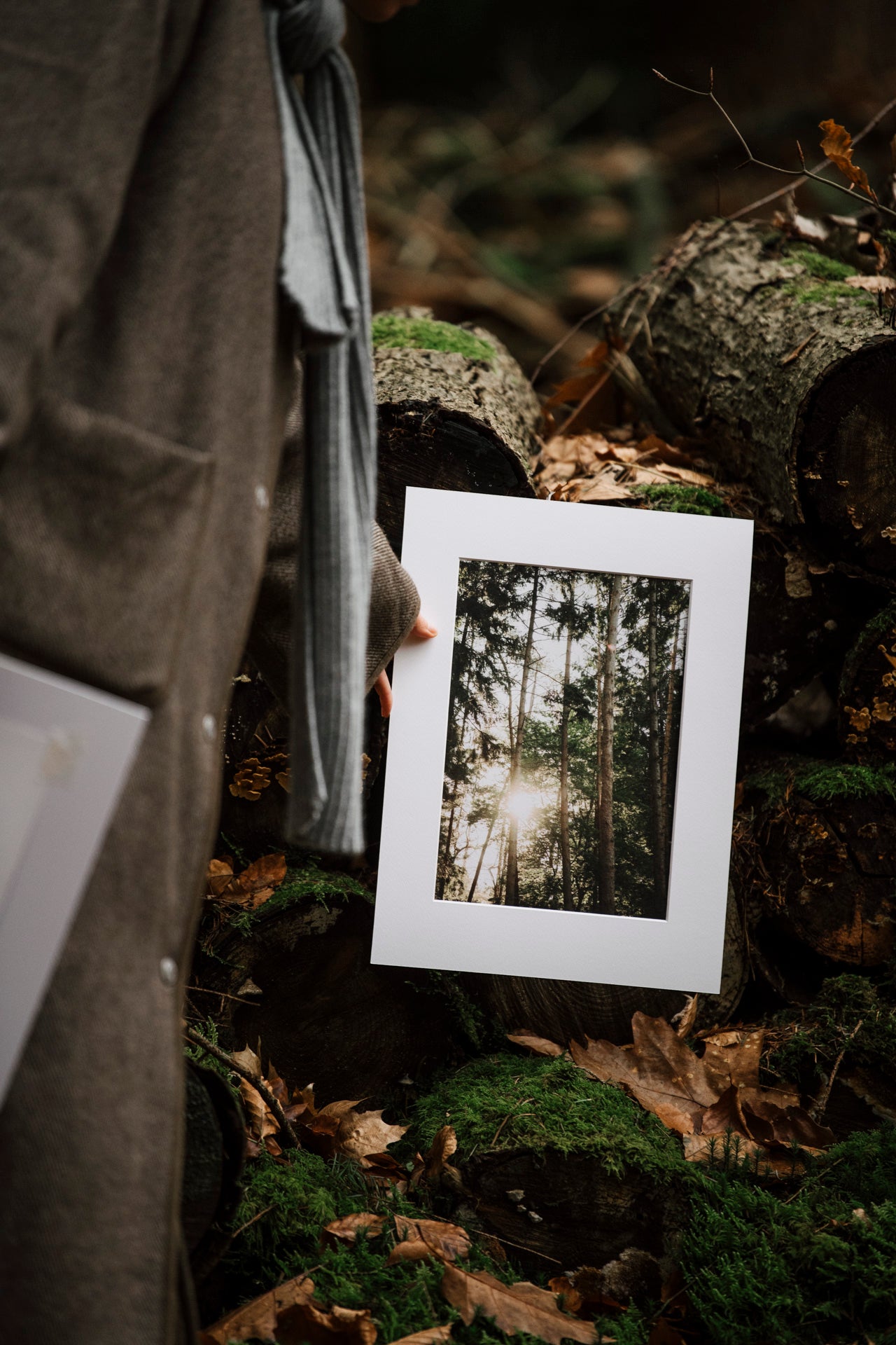 Photo print 'forest life'