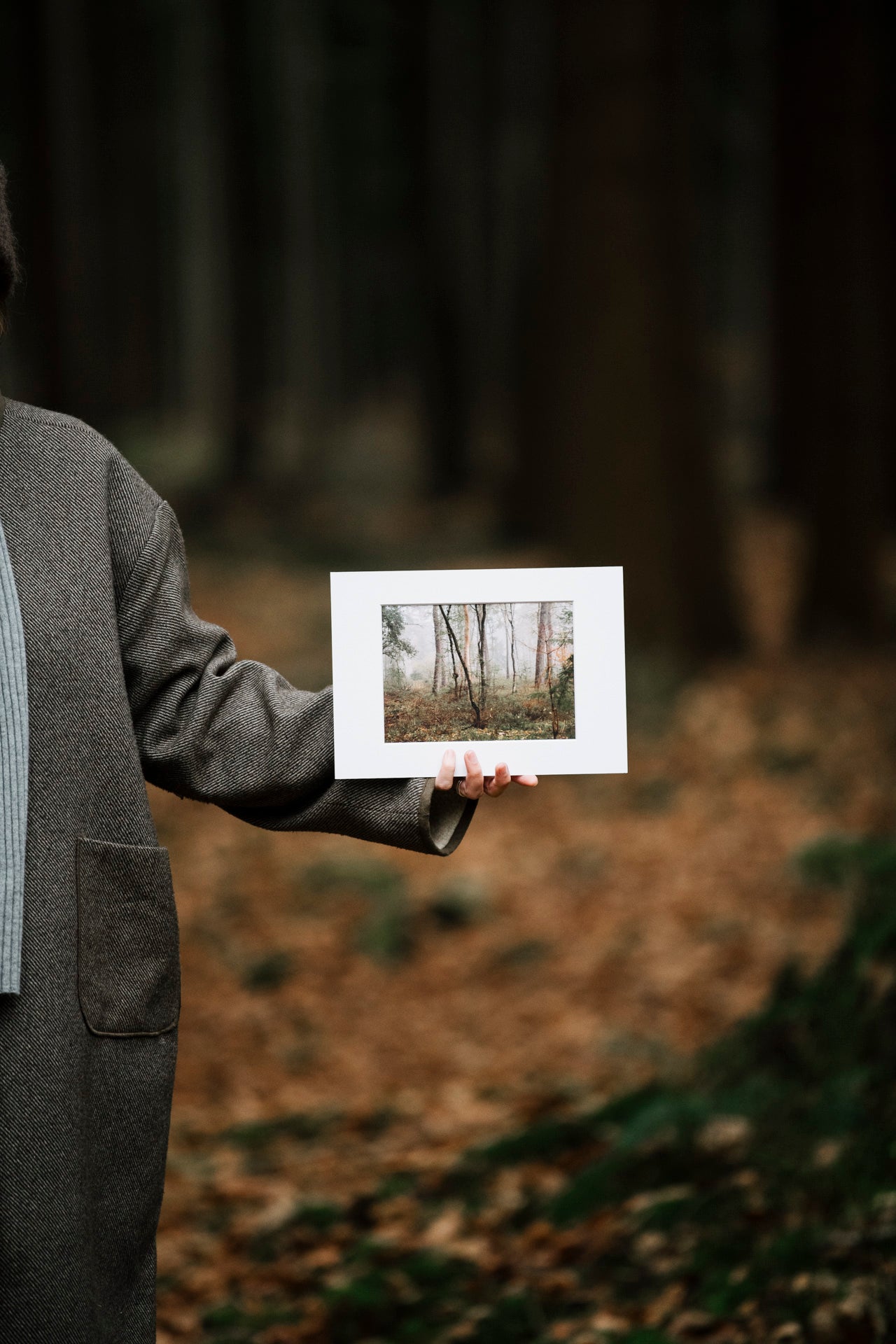 Photo print 'into the woods'