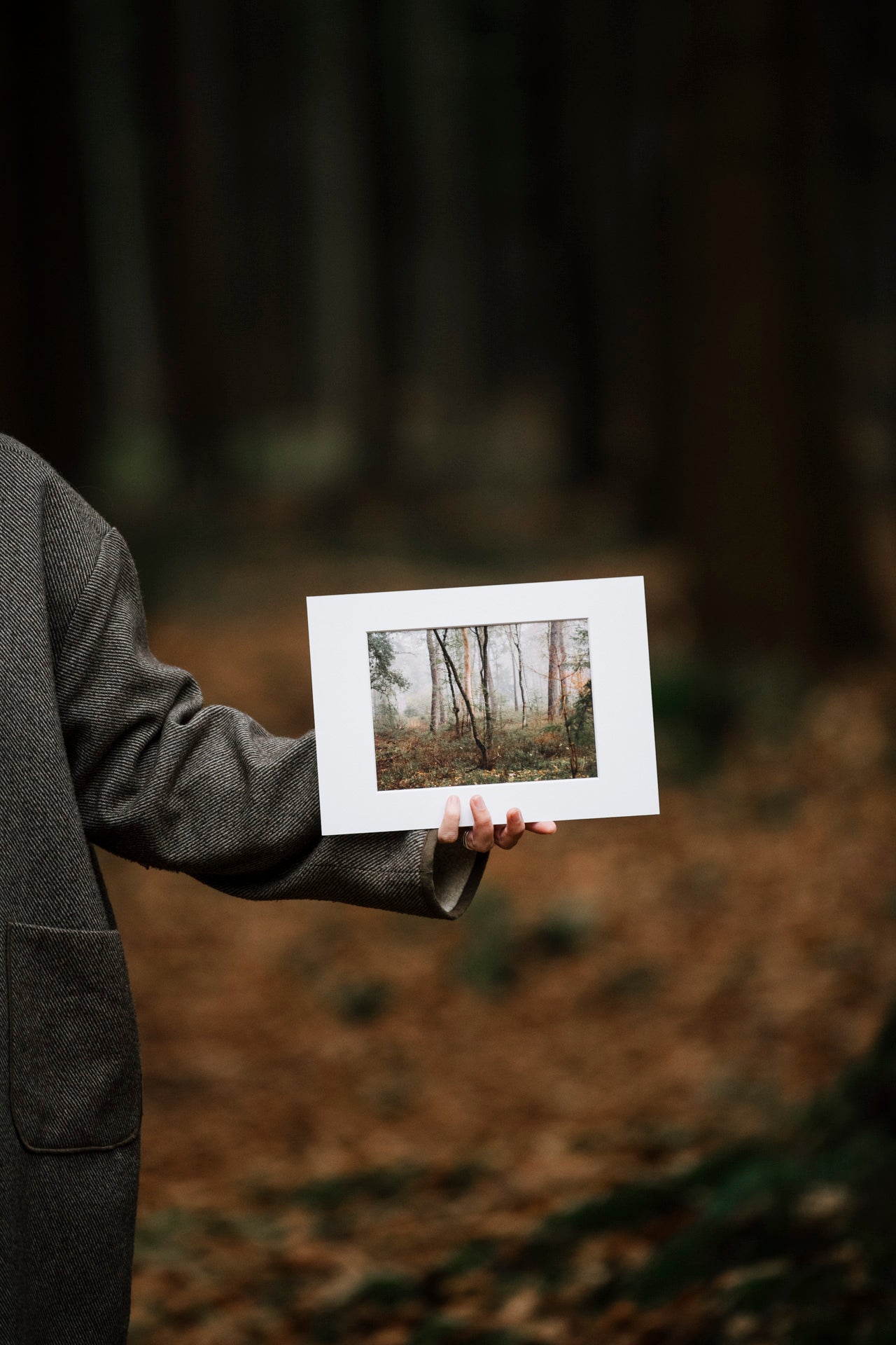 Photo print 'into the woods'