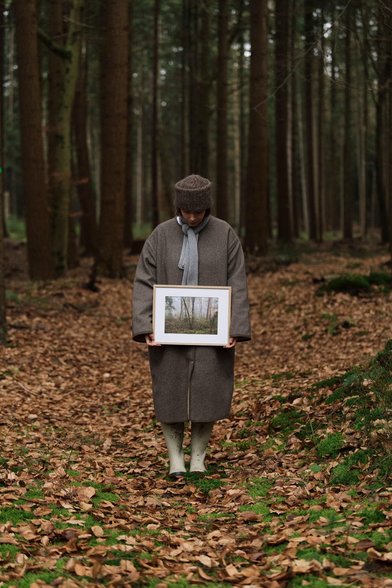 Photo print 'into the woods'