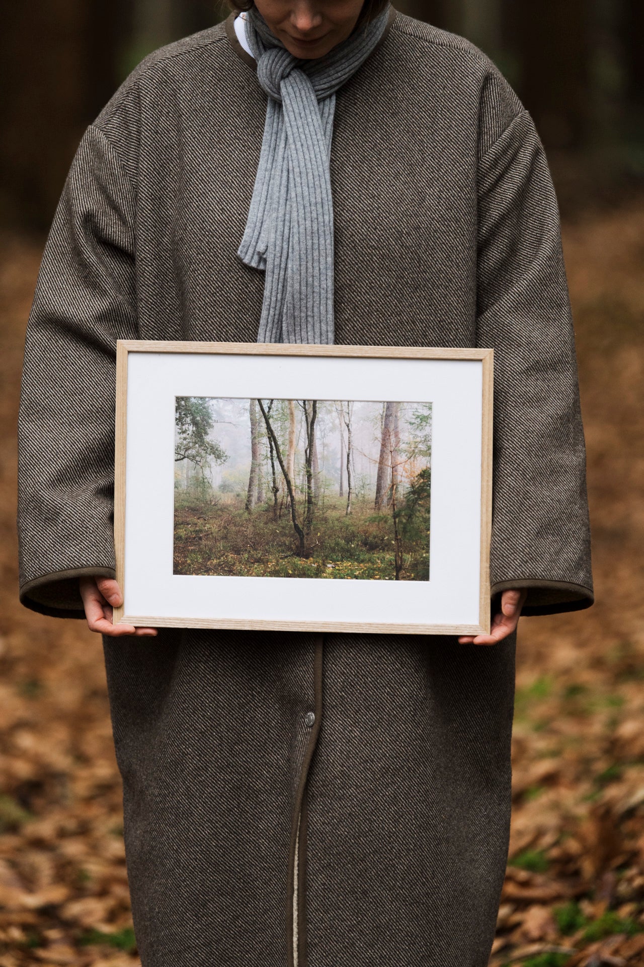 Photo print 'into the woods'