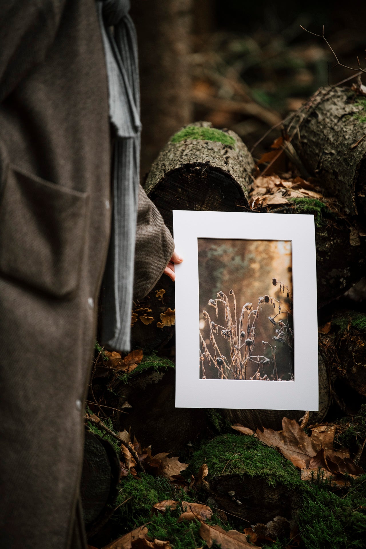 Photo print 'sunflowers'